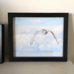 8 x 10 original photographic print